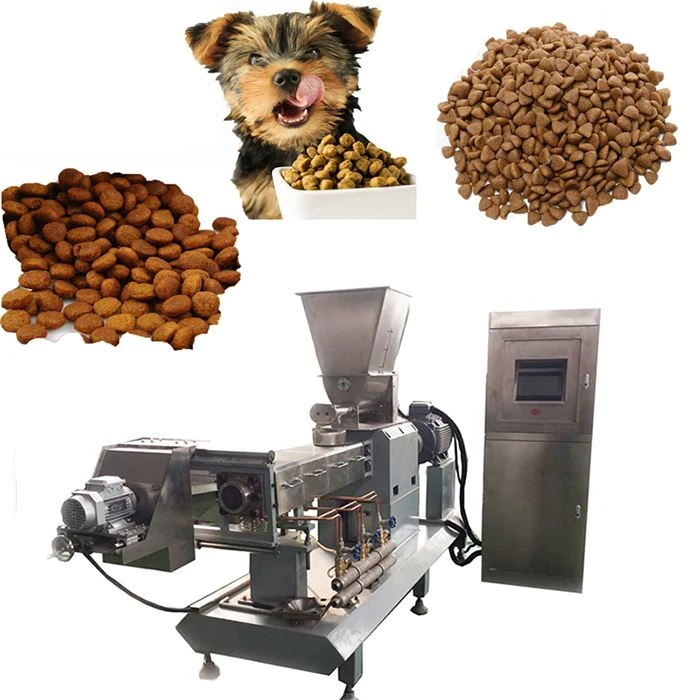 Kedi